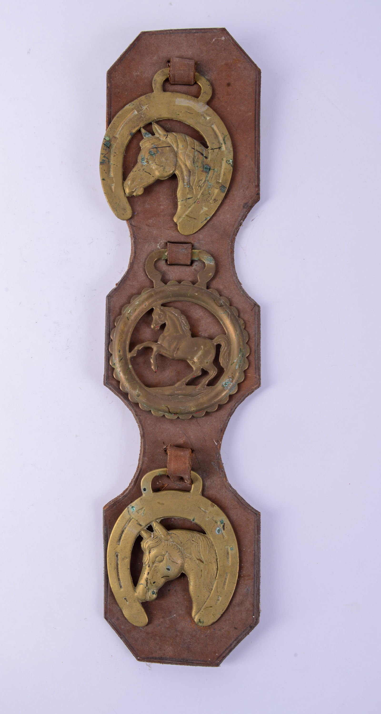 Three Brass Bridle Rosettes.: Diameters 3.5 inches, on a leather strap.