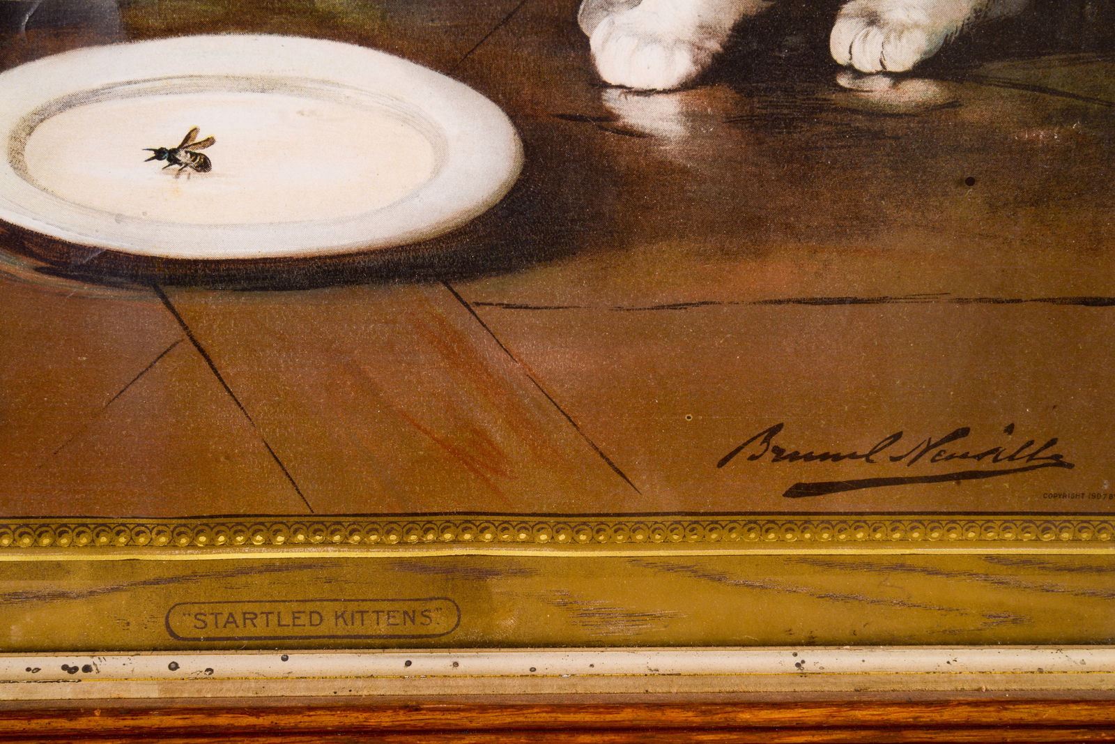 Lithograph: Startled Kittens. - 2