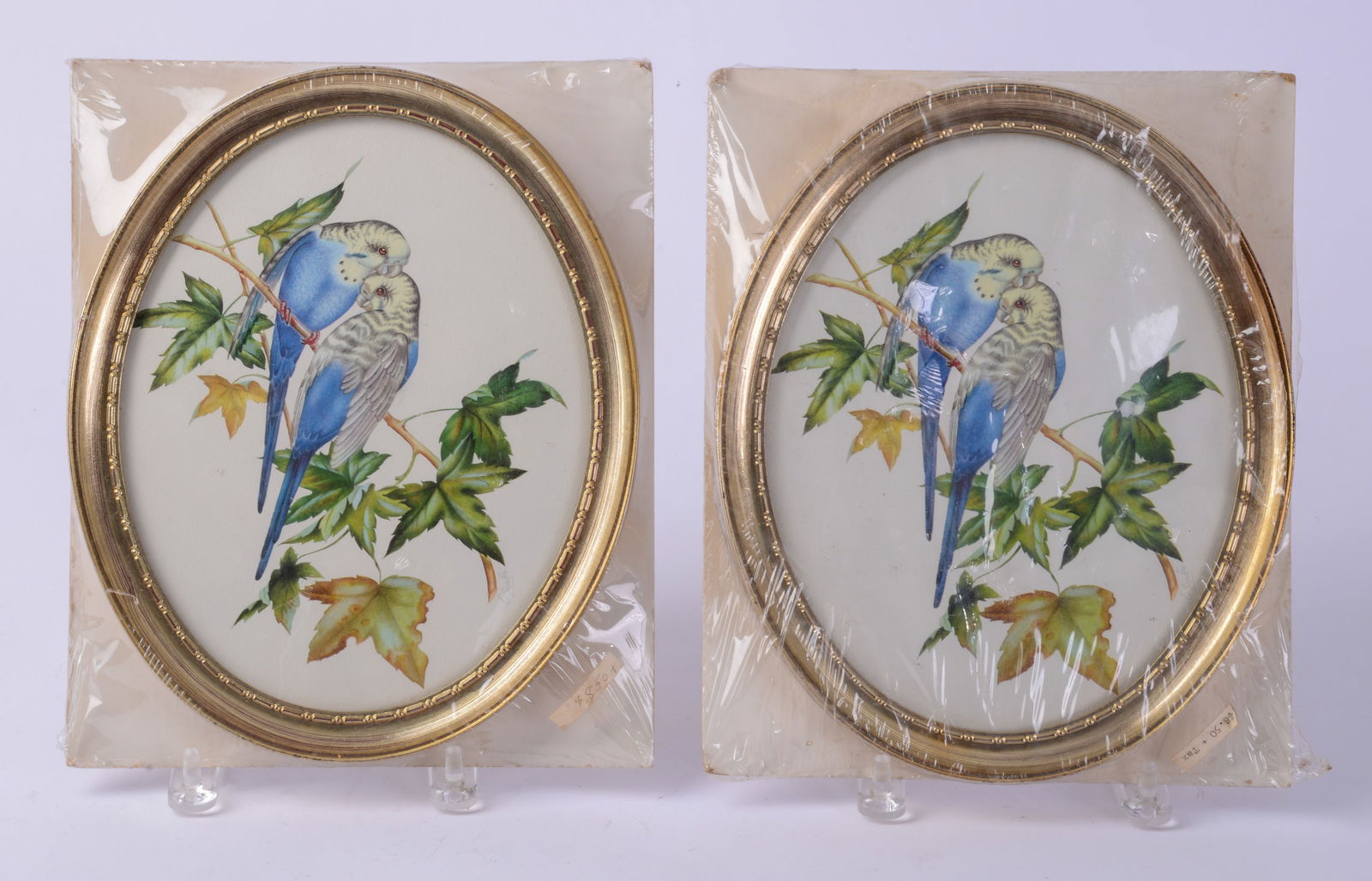 Two Framed Prints of Birds. (1 of 2)