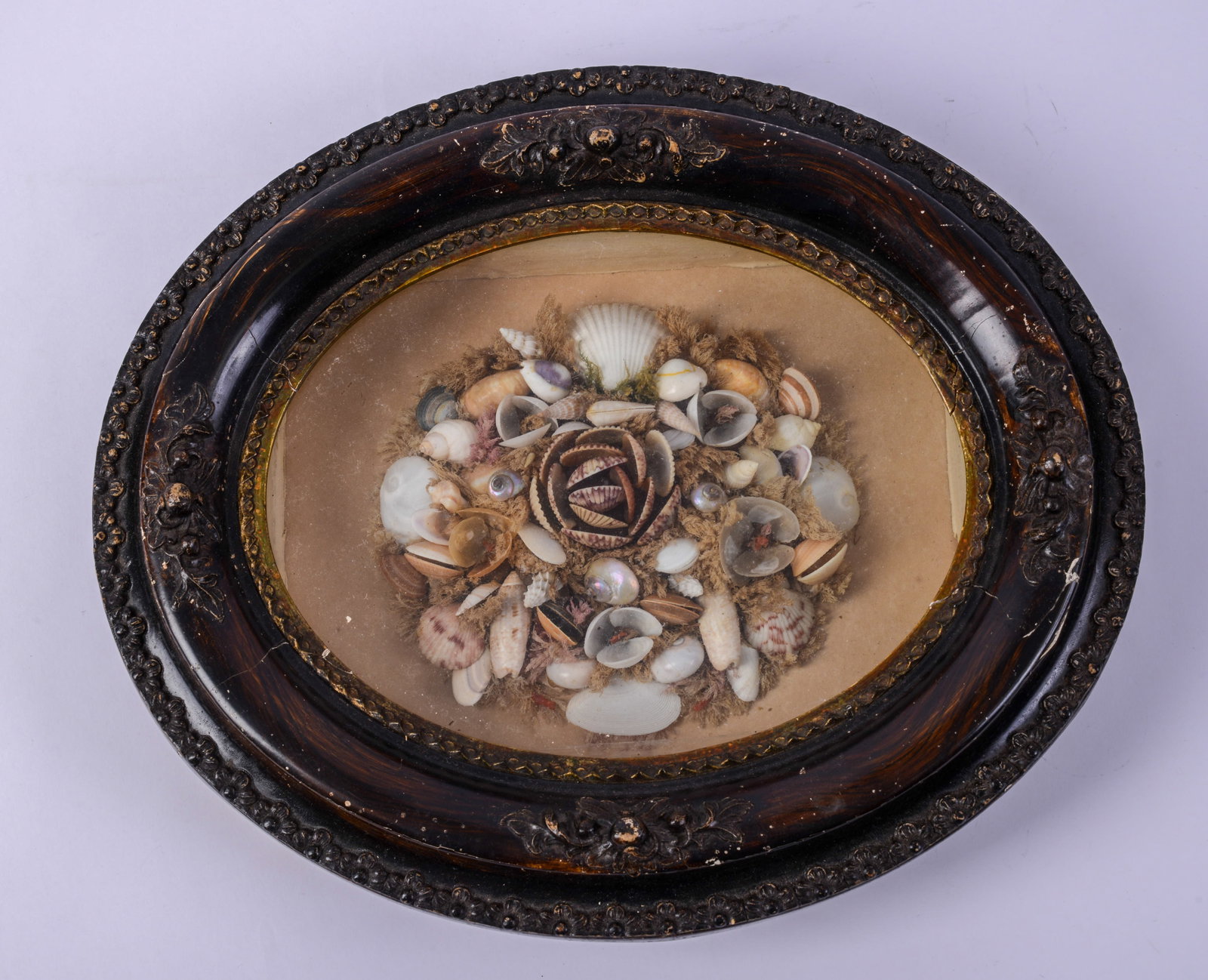 Small Sailor's Valentine.: Frame 12.5 x 10 inches.