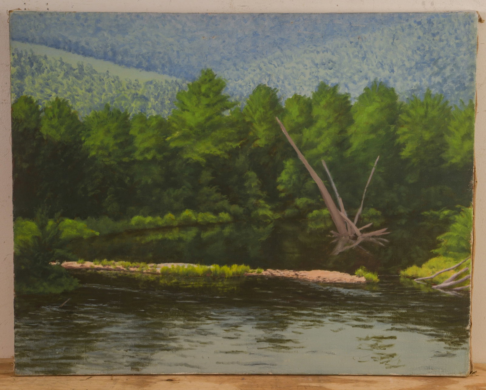 Frank R. Pope. Wilderness Lake Snag.: Oil on canvas, 24 x 30 inches, unsigned.