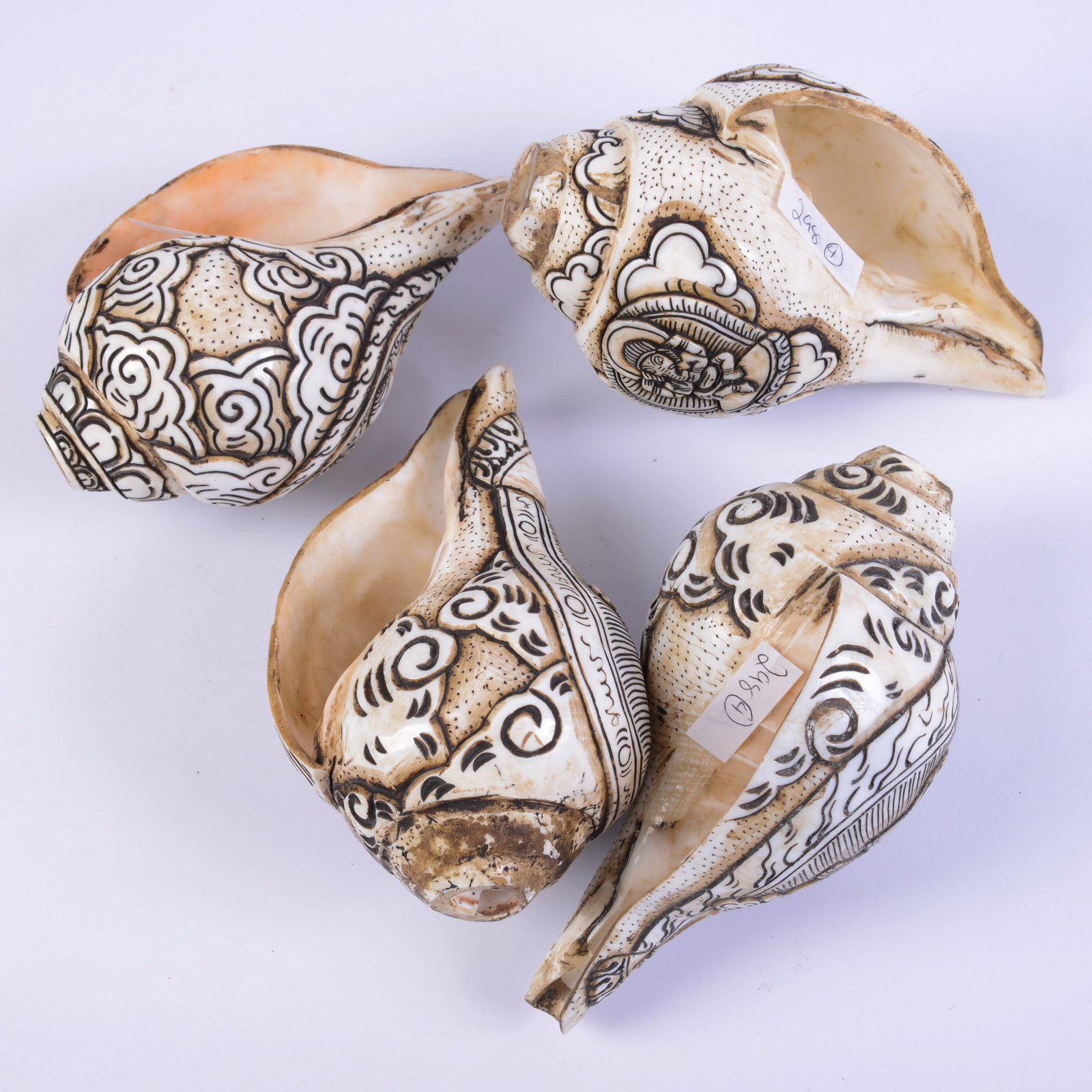 Four Tibetan Carved Conch Shells. - 2
