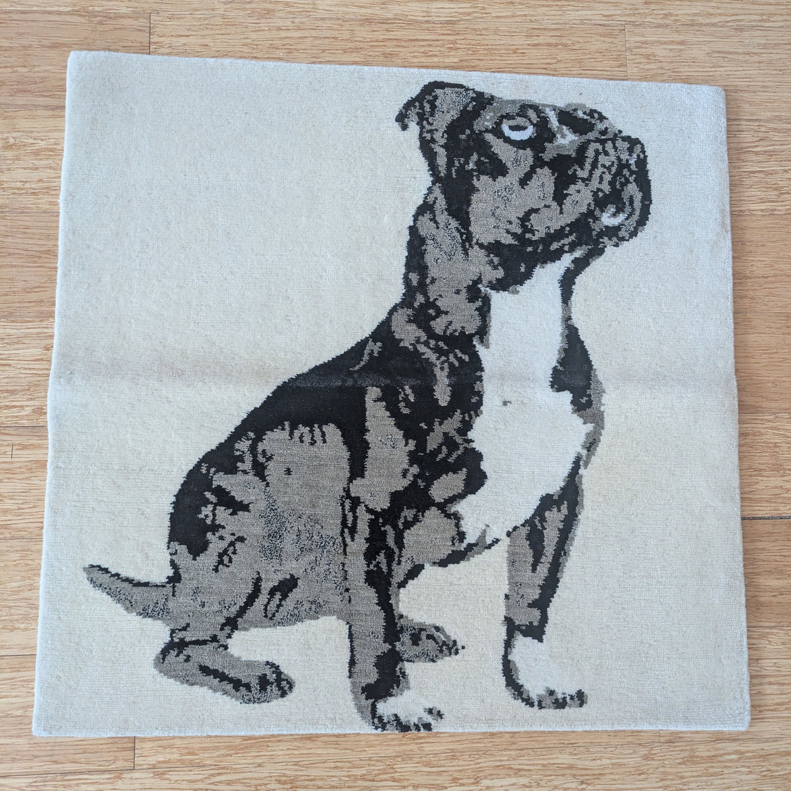 Small Rug With Dog.: 37 x 32 inches.
