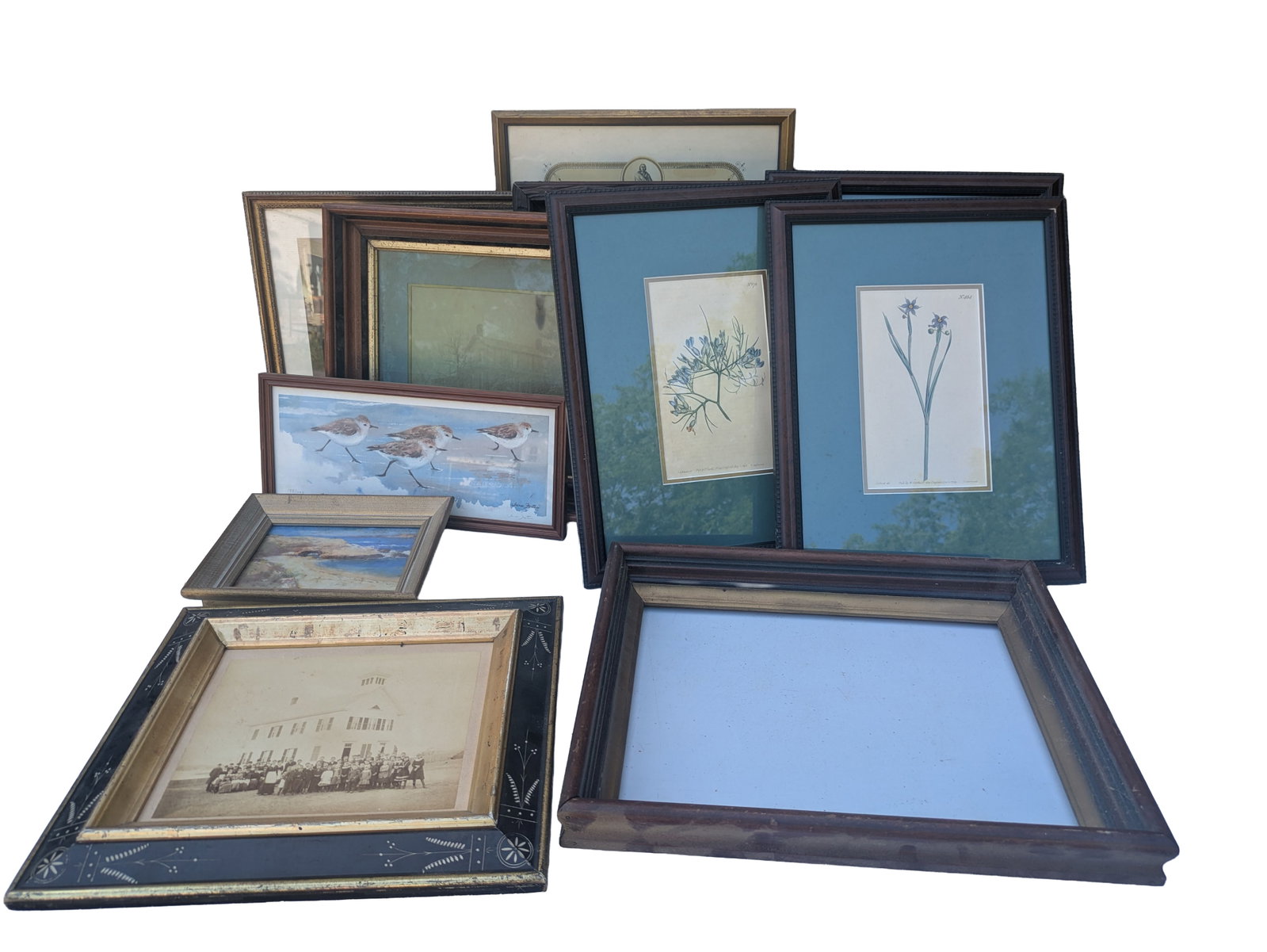 Collection of Frames and Framed Items.: Botanical prints and others.
