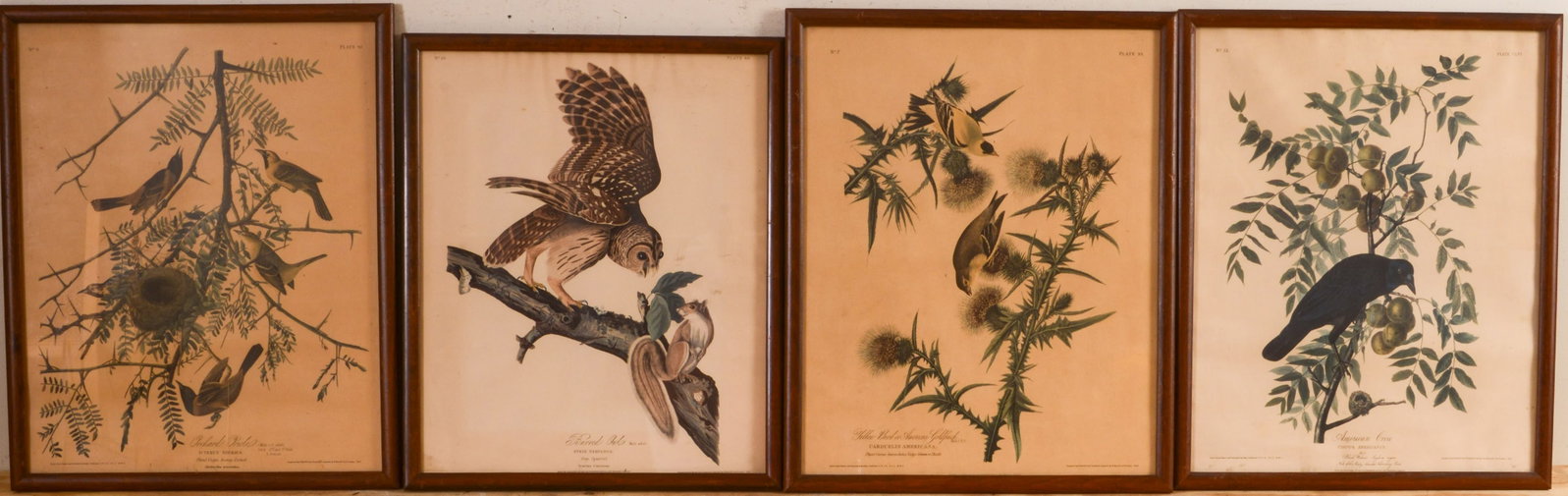 Four Audubon Bird Prints.: Printed by Havell for Northwestern Mutual Life Insurance Company. Framed, 20 x 16.5 inches.