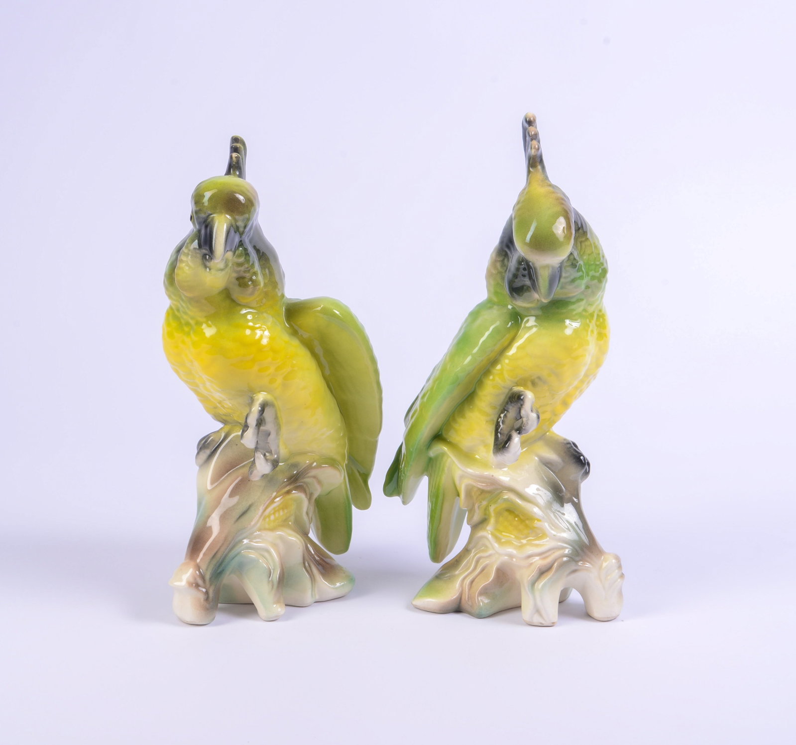 Pair of Porcelain Parrots.: Height 11 inches.