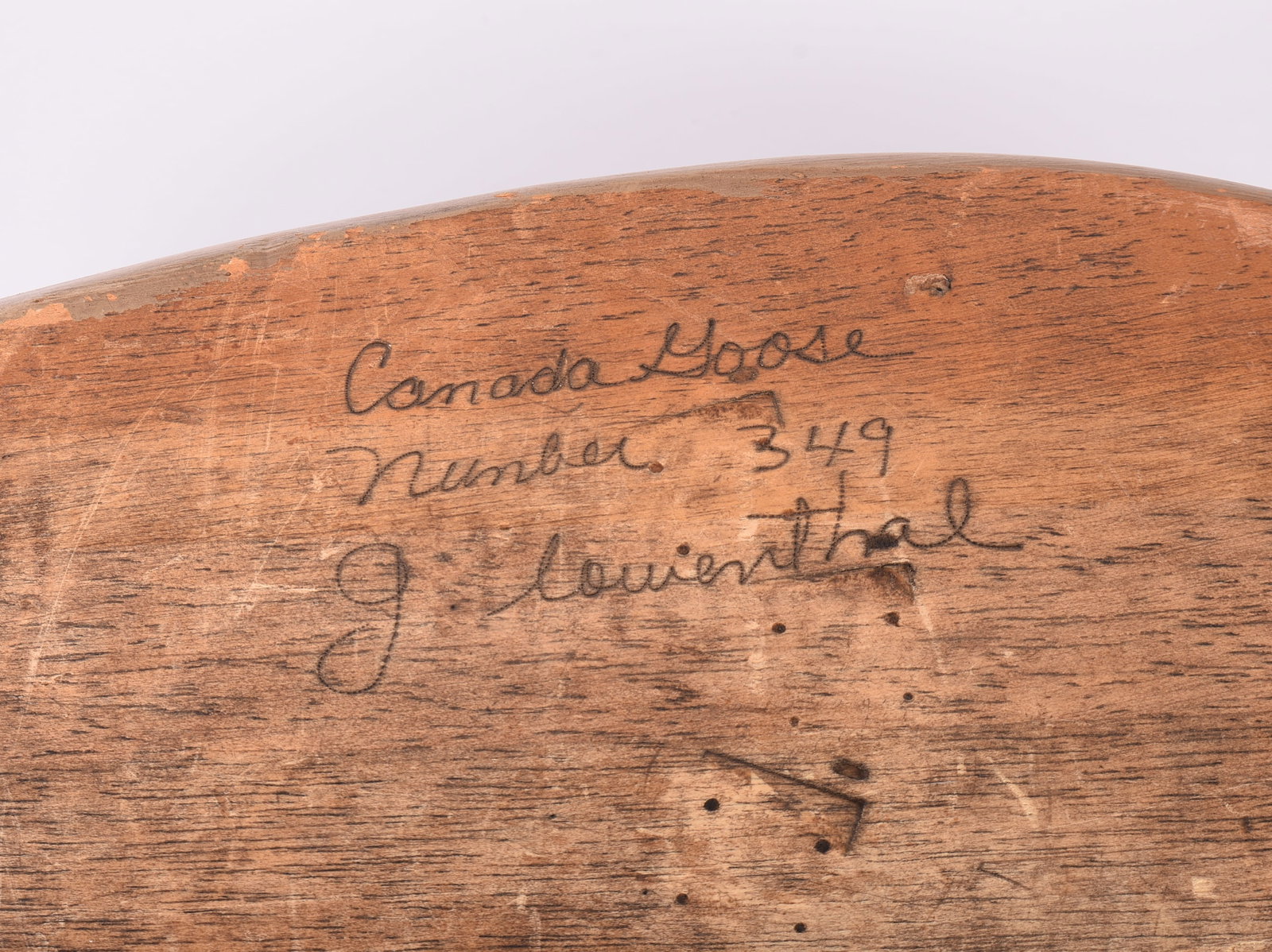 Canada Goose Decoy. - 6