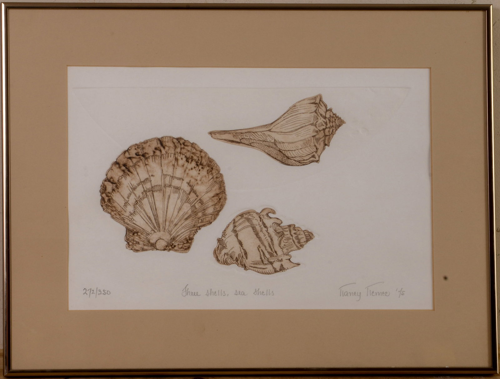 Three Shells, Sea Shells.: Print on prepared paper, framed, 15 x 20 inches.