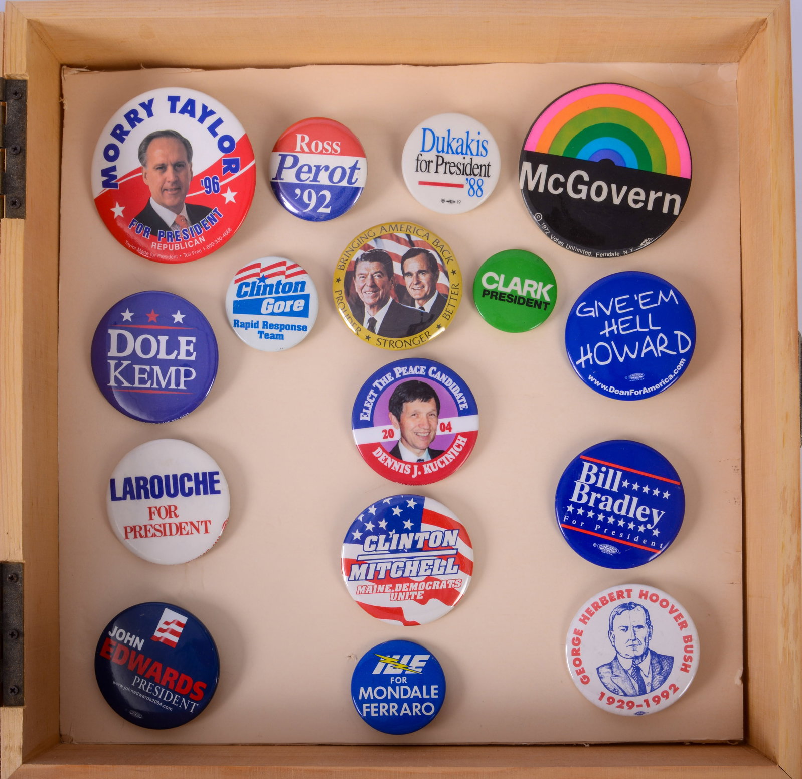 Shadowbox of Political Pins. (1 of 1)