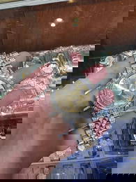 Custom 36mm Two Tone Full Diamond Rolex 12 cttw Diamond