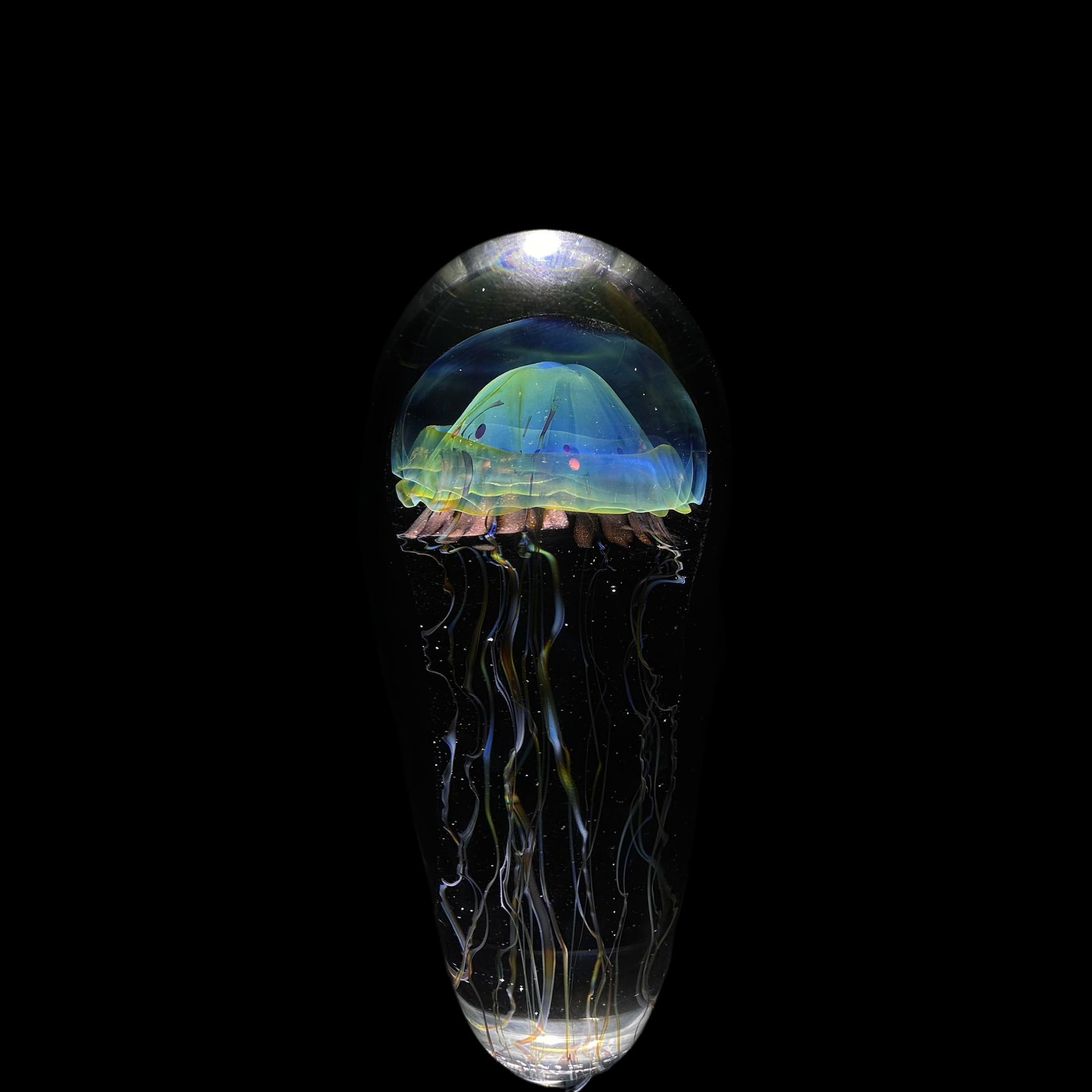 Richard Satava Moon Jellyfish Paperweight (Short): Height 6.5" tall, good condition, so surface scratches on base. Signed and dated. From the Estate of Fritz and Lucy Jewett.