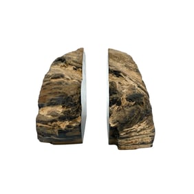 (Lot of 2) Contemporary Petrified Wood Bookends