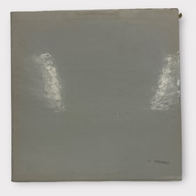 The Beatles Self-Titled Record/LP (2 Record Set)