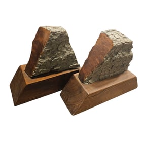 Vintage MCM Style Petrified Wood Bookends