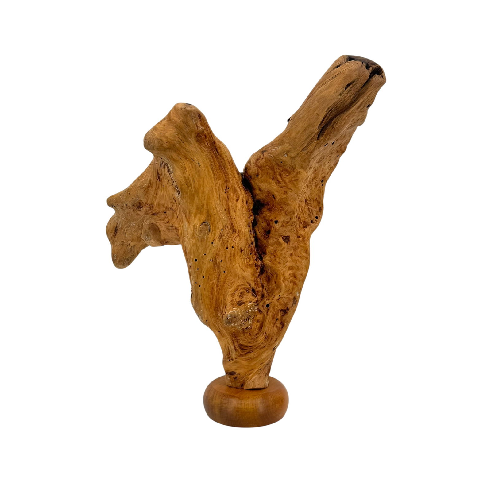 Large Natural Burl Driftwood & River Stone Sculpture: Large natural burl driftwood and river stone sculpture, featuring the large, organic driftwood piece encapsulating a river stone, on a wood stand. Measures approximately 12 in W x 18 1/2 in H.
