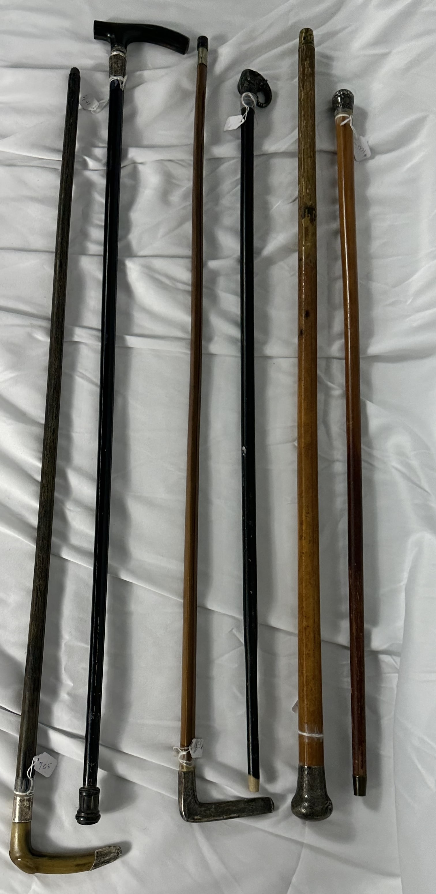 Walking Stick Group C - 6 Sticks (1 of 5)