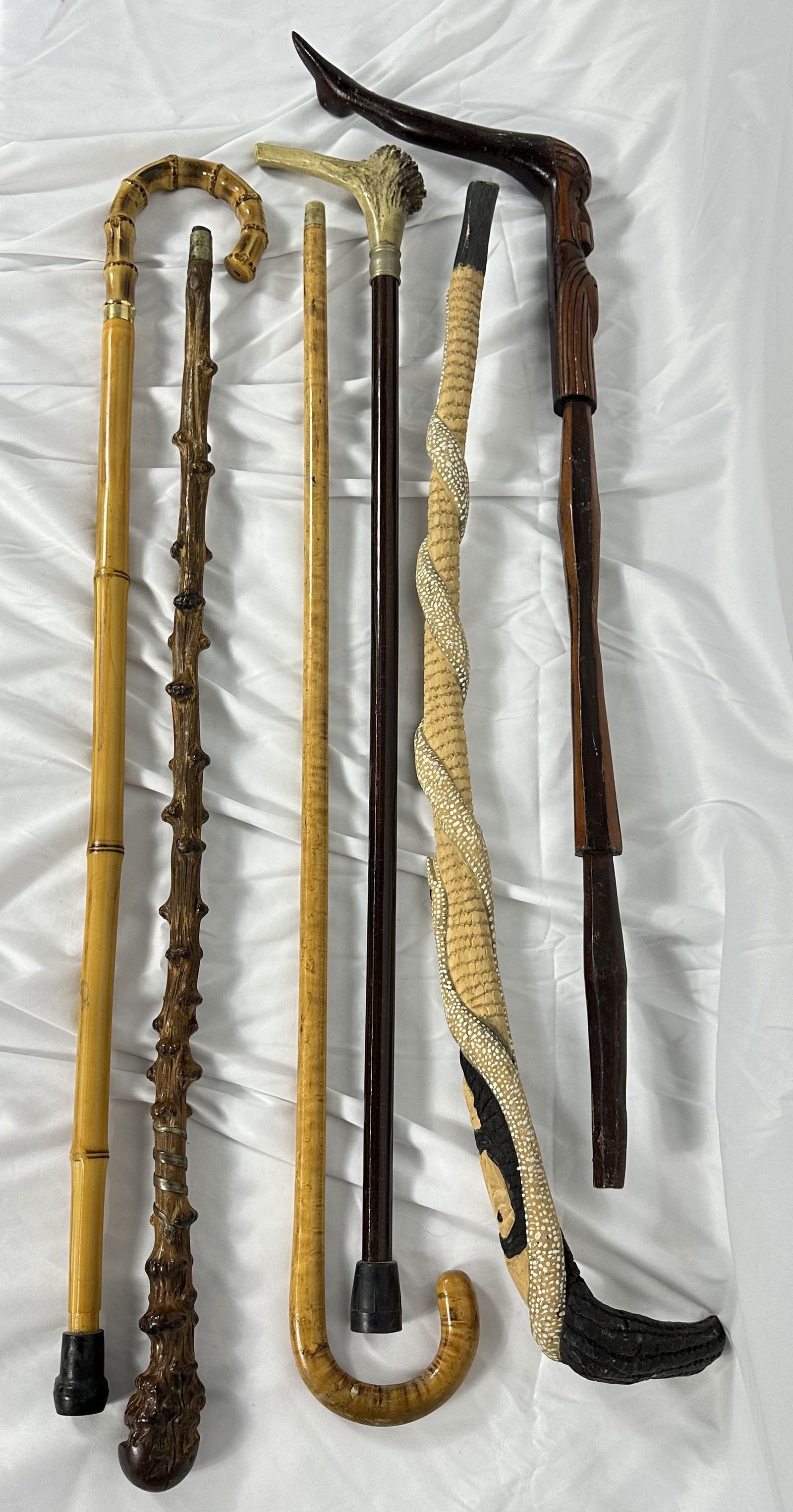 Walking Stick Group D - 6 Sticks (1 of 7)