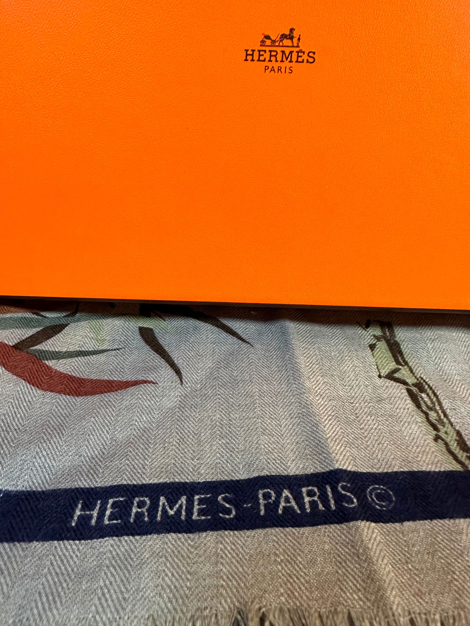 Hermes 18 x 74 Wool Scarf (1 of 6)