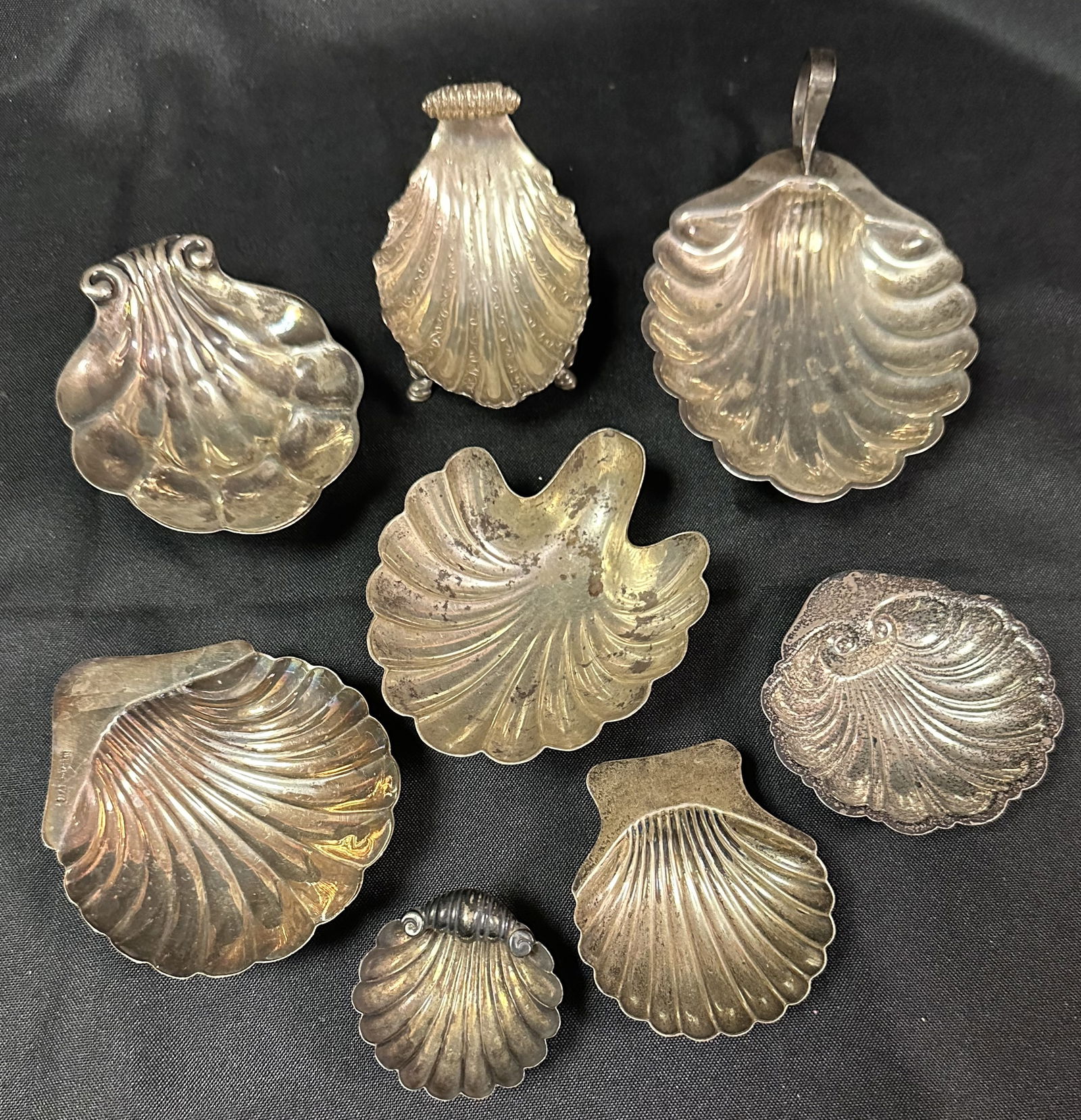 Collection of 8 Silver Shell Form Dishes (1 of 9)