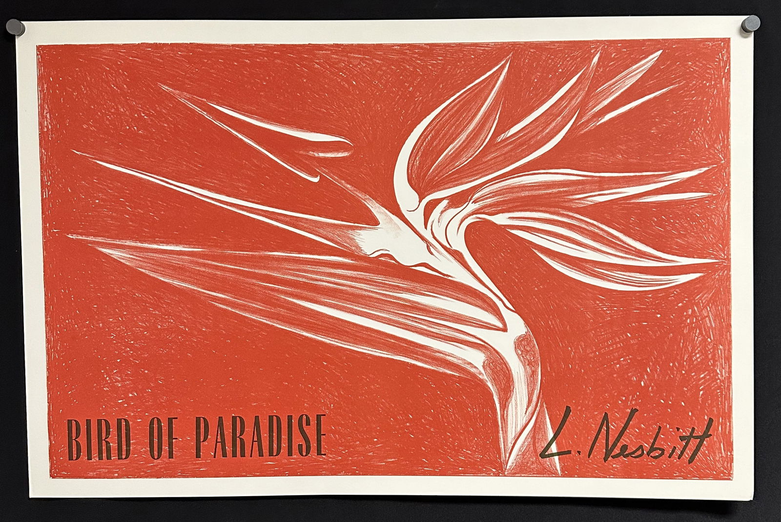 1970 Lowell Nesbitt Lithograph Poster -  Bird of Paradise (1 of 1)