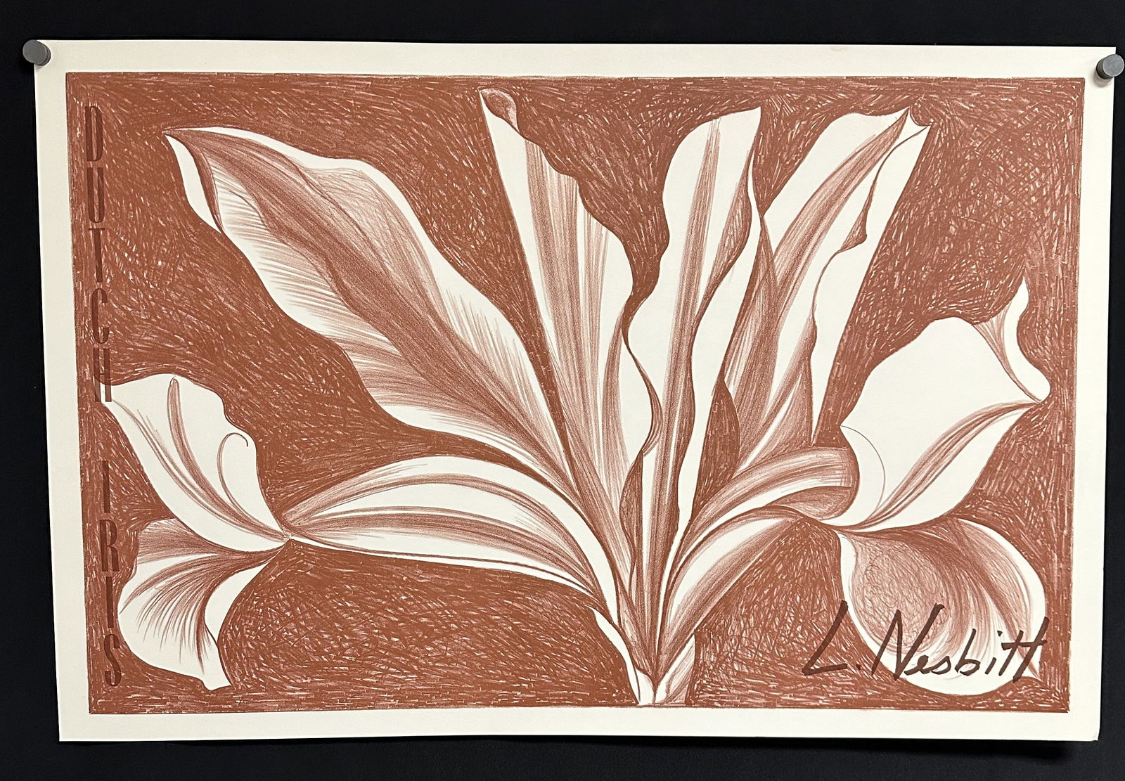 1970 Lowell Nesbitt Lithograph Poster - Dutch Iris (1 of 1)