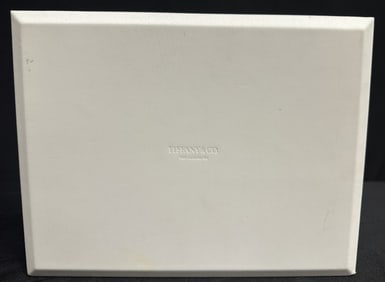 Tiffany Suede Jewelry Box - Not Sold in Stores!