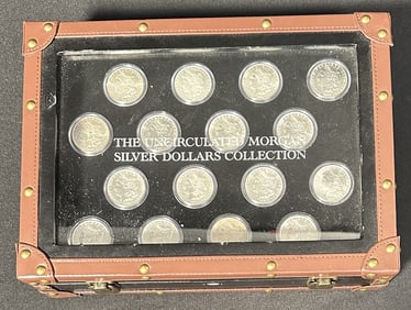 Uncirculated Morgan Silver Dollar Collection (16)