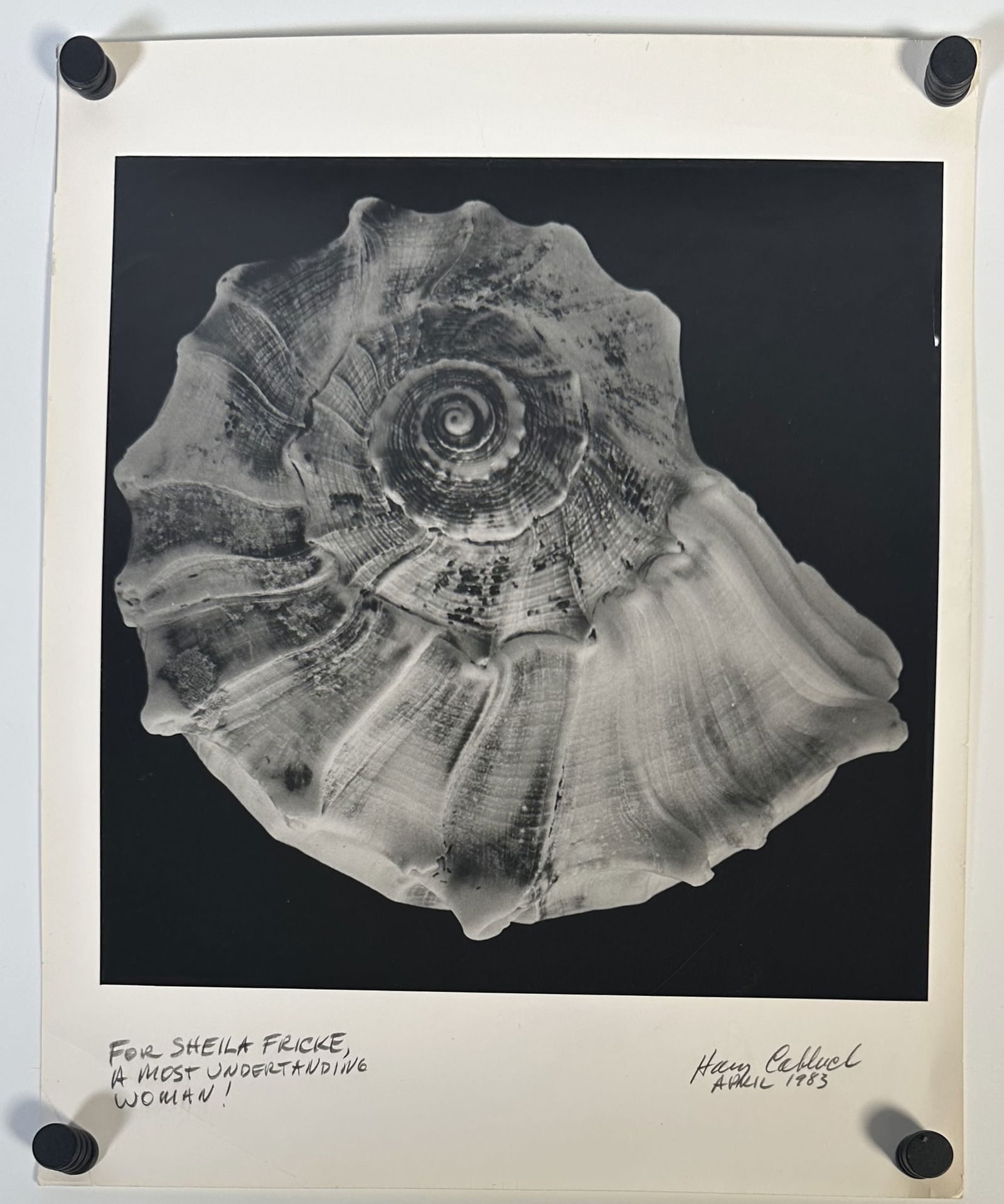 Harry Cabluck photograph of a Shell (1 of 5)
