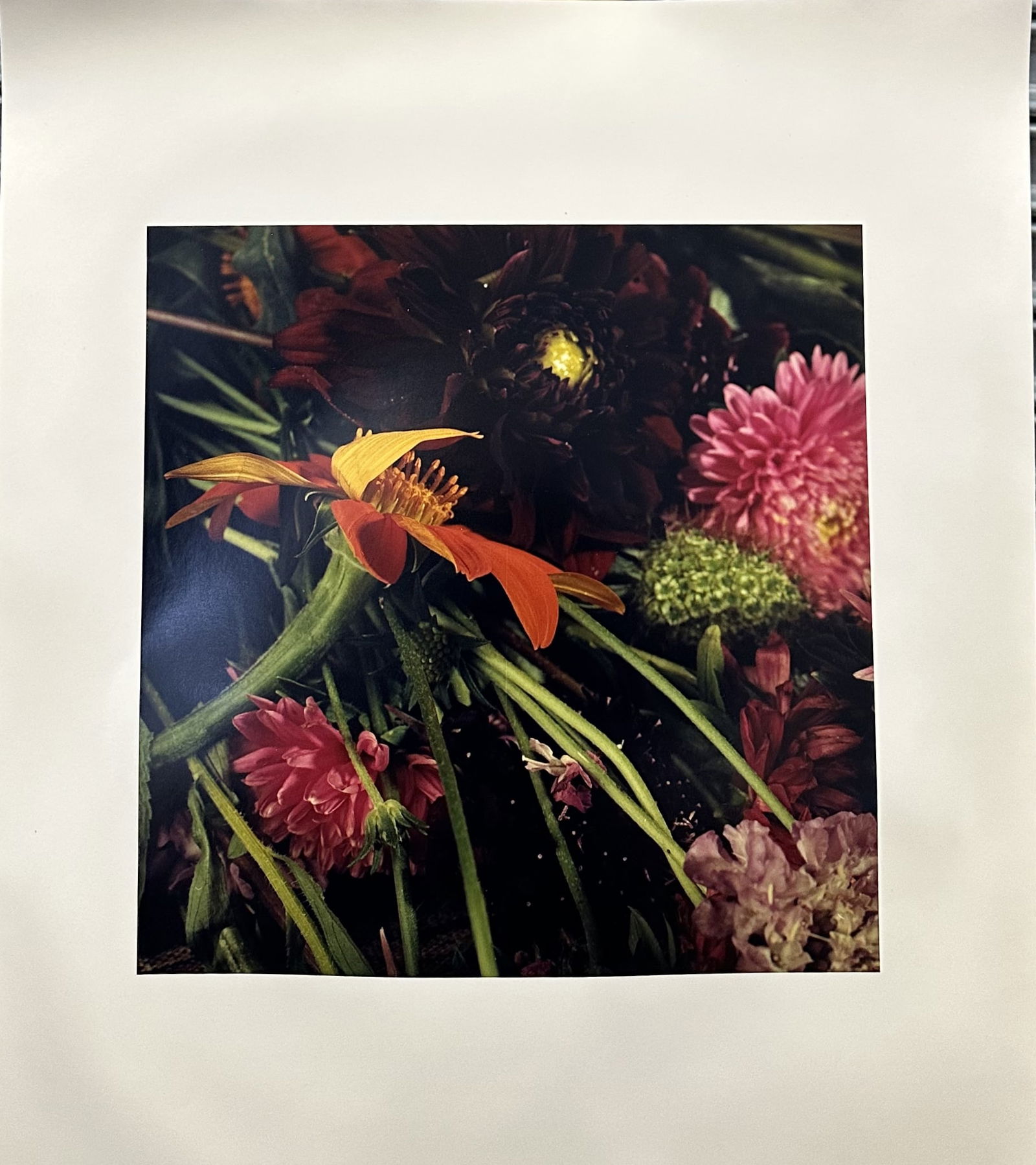 Anne Sager Assortment of Eight Photographs Signed (1 of 9)