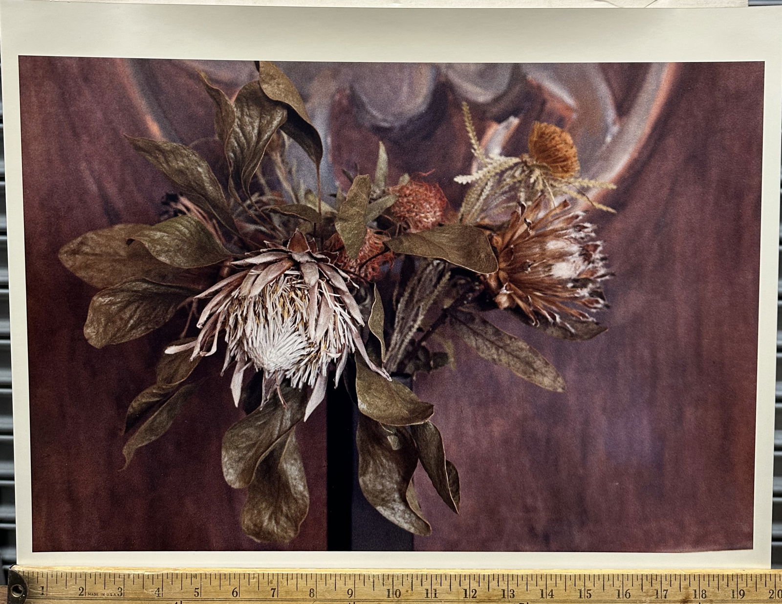 Anne Sager Five Large Floral Photographs: Anne Sager Five Large Floral Photographs This is a lot of five large floral photographs by Anne Sager. Please note the rulers in the photos for the image sizes on the smaller ones.Anne Sager is a cont