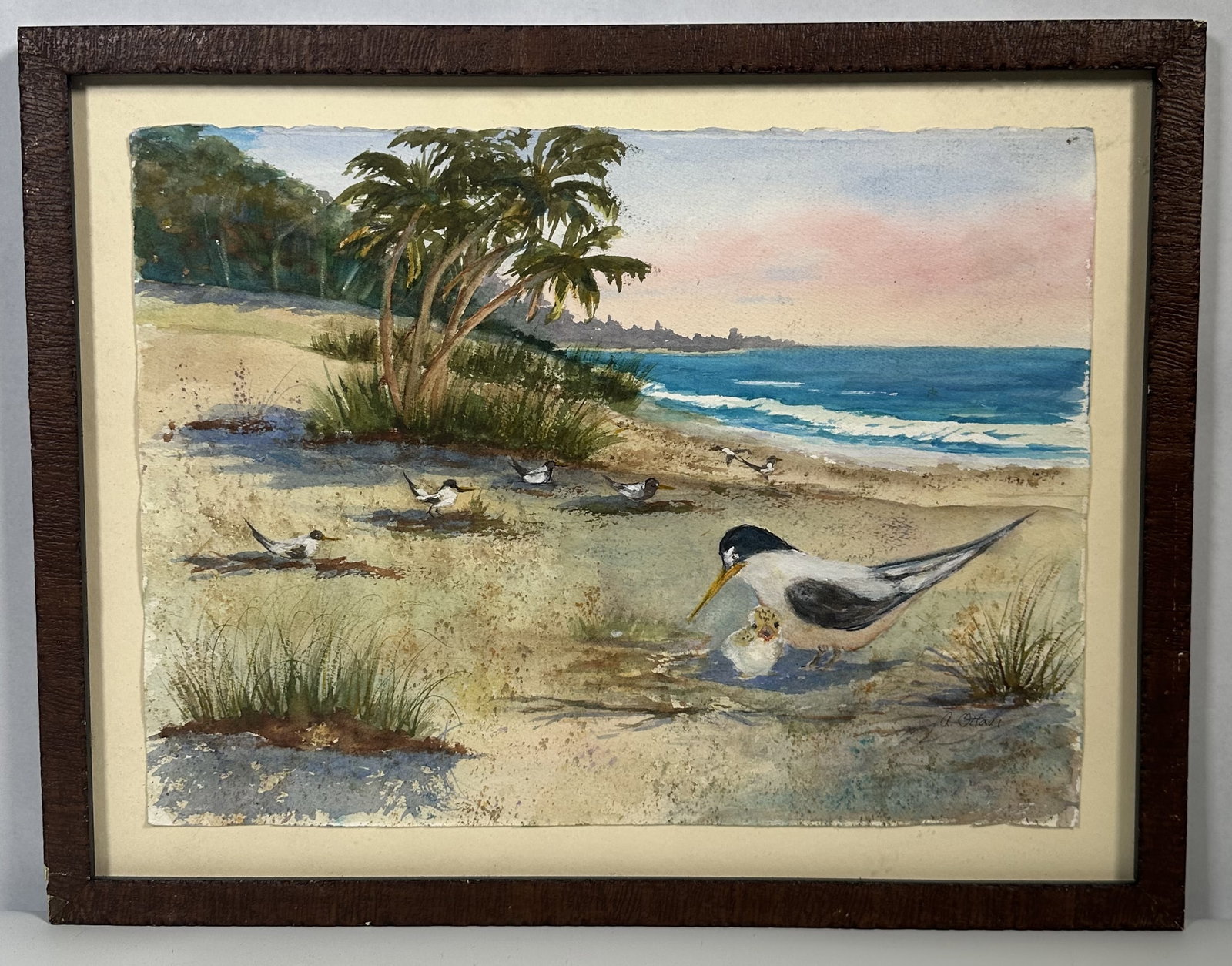 Vintage Original Painting Beach Scene Sandpipers: Vintage Original Painting Beach Scene Sandpipers This framed piece is an original watercolor painting depicting a coastal wildlife scene. The composition features a colony of seabirds nesting along a 