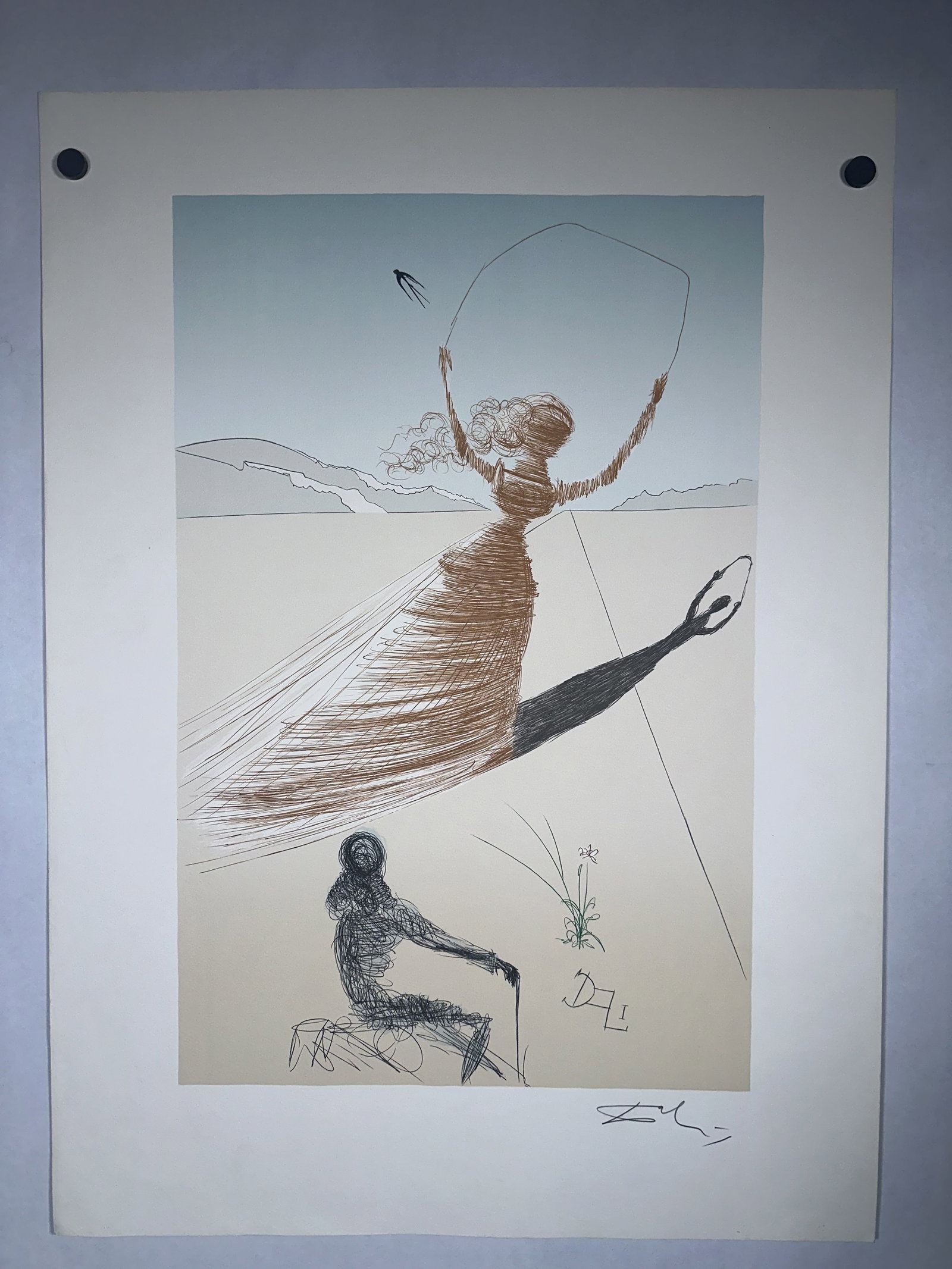Salvador Dali Signed Alice in Wonderland Lithograph Golden Afternoon (1 of 5)
