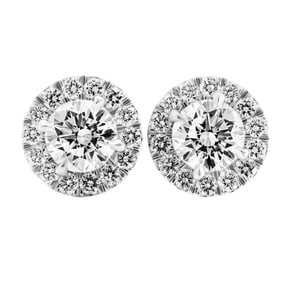 GIA Certified Classic halo studs in Platinum