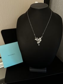Tiffany & Co. Platinum Diamond Paper Flowers Necklace