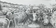 In the style of ROBERT "SHOOFLY" SHUFELT - "LONGHORNS" - Drawing – Graphite on paper