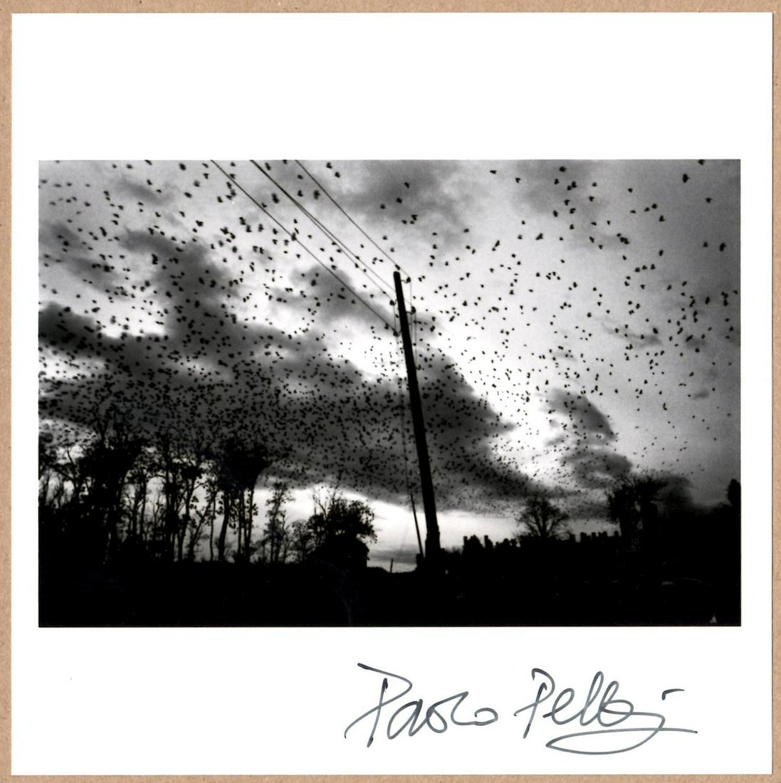 SIGNED PAOLO PELLEGRIN - COVER IMAGE FOR KOSOVO, 1999 6" x 6" MAGNUM PRINT. (1 of 2)