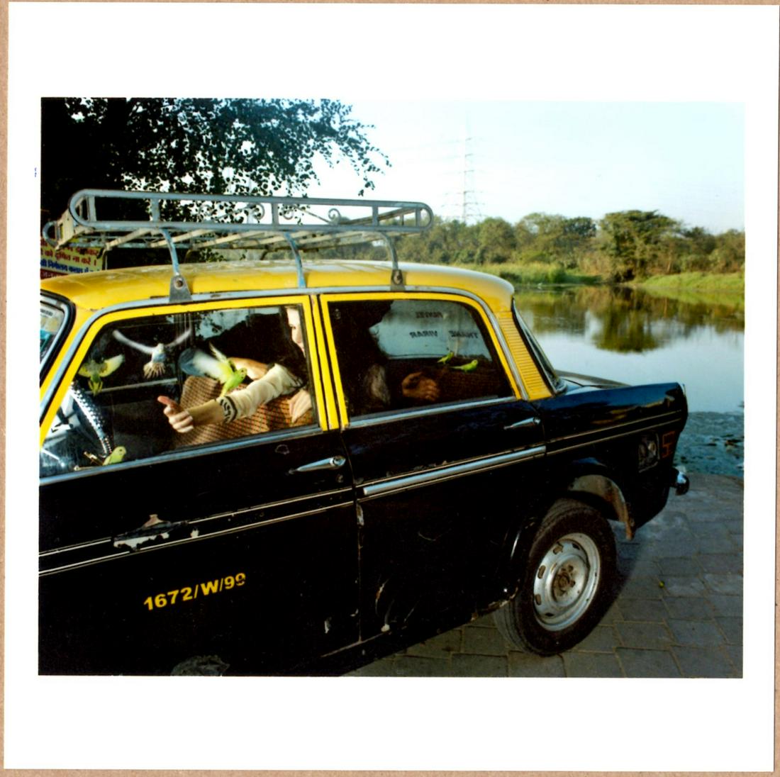 SIGNED - MAX PINCKERS - SHE WILL USE THE BIRDS. FROM THE SERIES THE FOURTH WALL. BOMBAY, INDIA, 2012 (1 of 2)