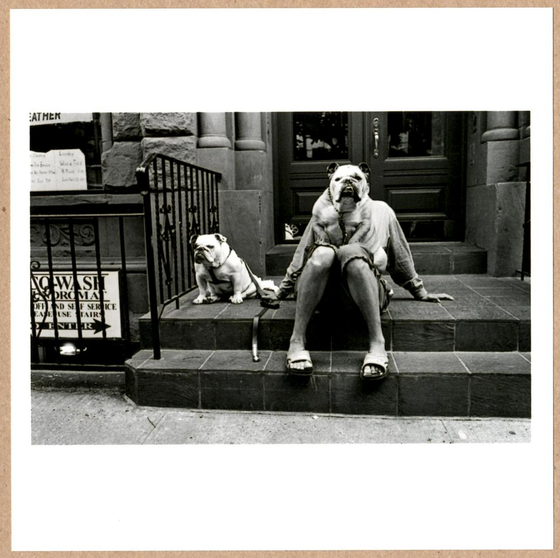 SIGNED ELLIOTT ERWITT DOGS STOOP NEW YORK 2000 LTD 6" x 6" MAGNUM ARCHIVAL PRINT.: Description: 6"x 6" limited edition Fuji Crystal Archival Matte paper print. Image size is 5.5" on the longest side and the paper size is 6" x 6". The Print is SIGNED by Elliott Erwitt on the verso.NB