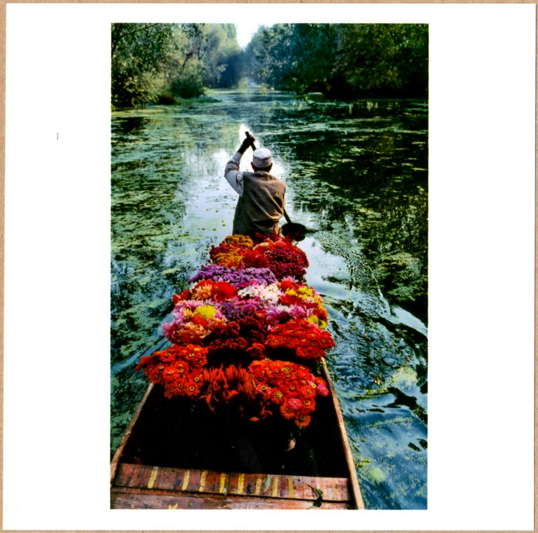 SIGNED - STEVE MCCURRY - FLOWER SELLER, KASHMIR, 1996 LTD 6" x 6" MAGNUM PRINT. (1 of 2)
