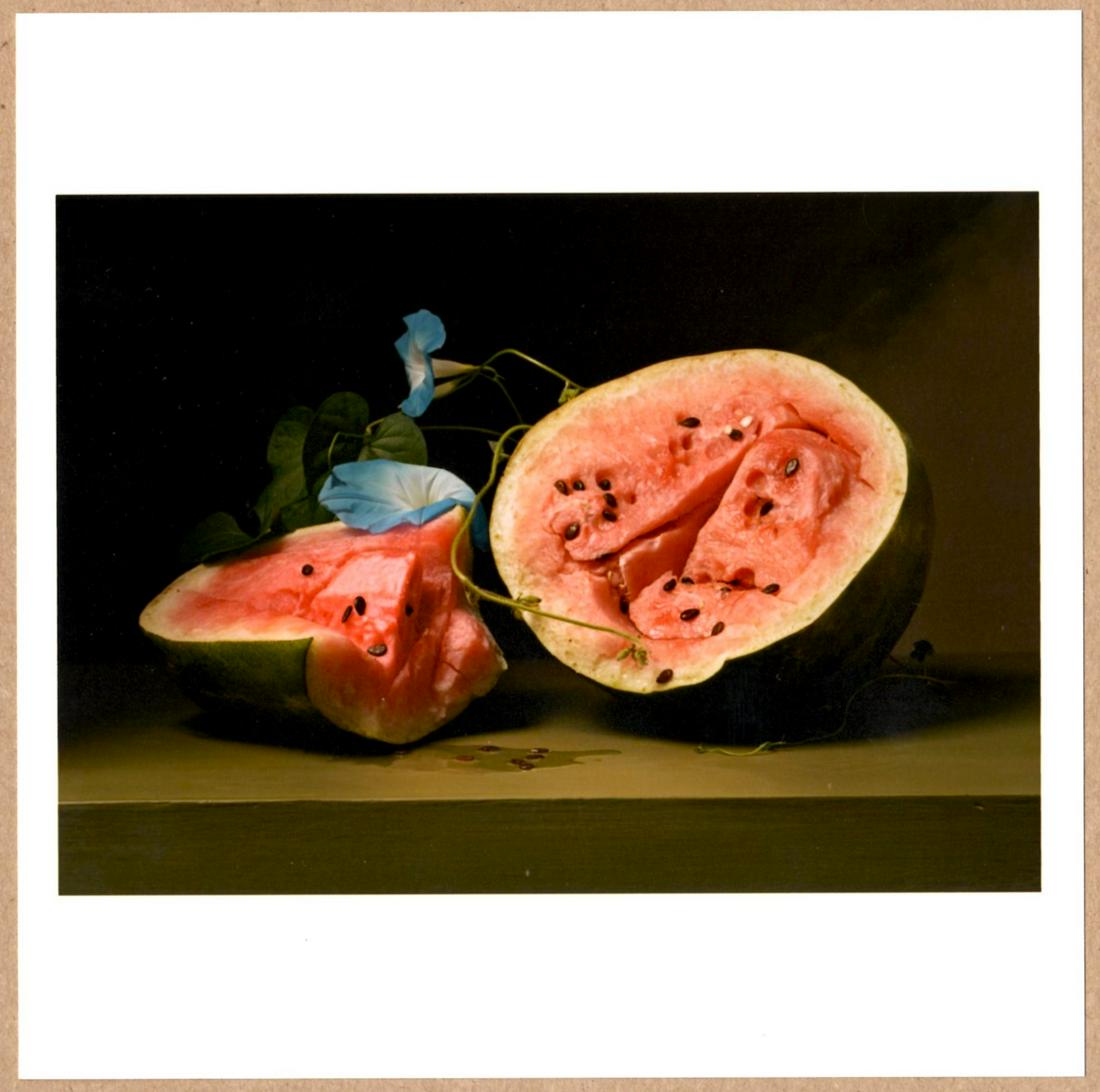 SIGNED - SHARON CORE - MELONS AND MORNING GLORIES LIMITED 6" x 6" APERTURE PRINT.: Description: 6"x 6" limited edition Fuji Crystal Archival Matte paper print. Image size is 5.5" on the longest side and the paper size is 6" x 6". The Print is SIGNED by Sharon Core on the verso.Condi