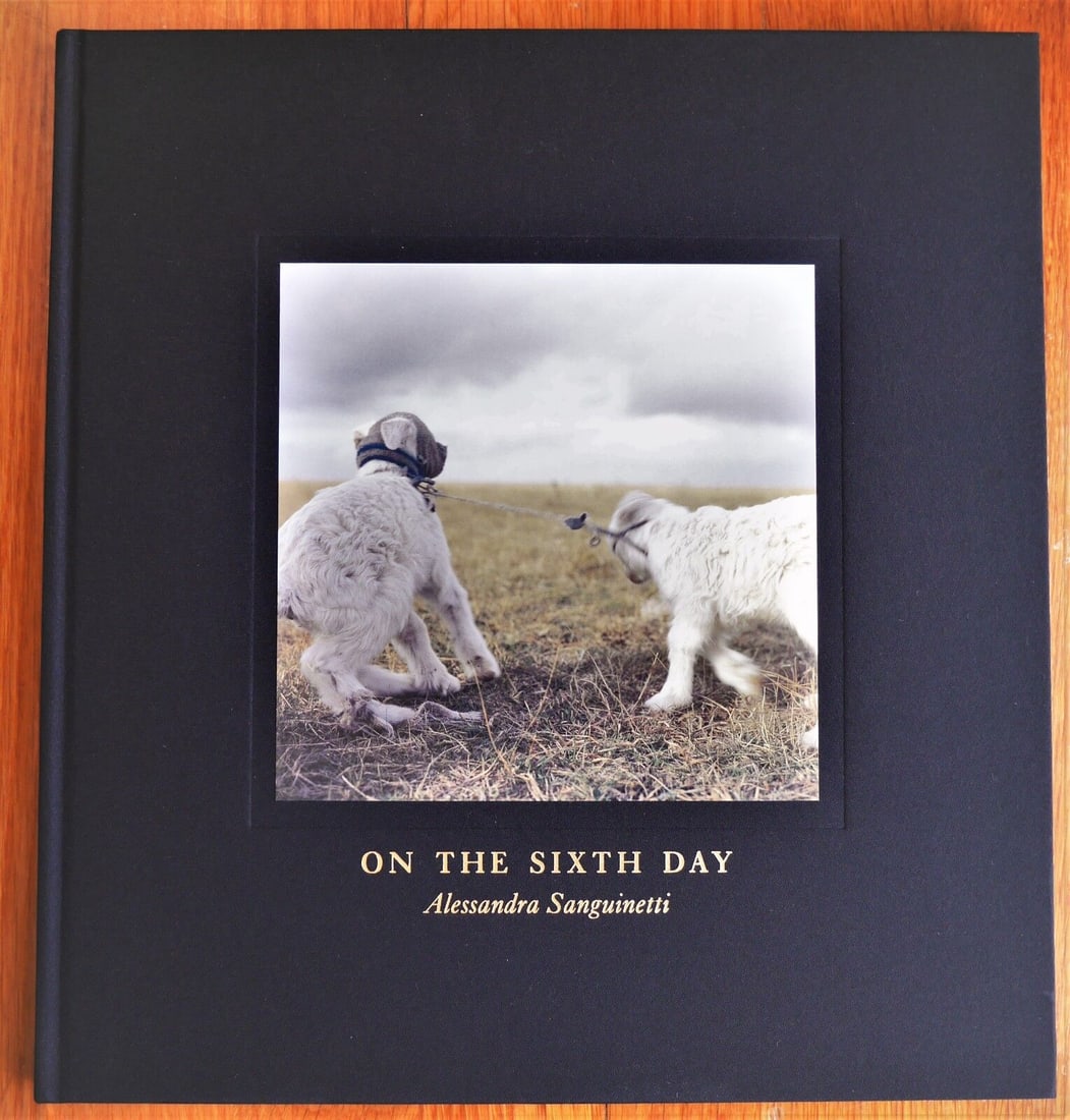 Sanguinetti, Alessandra; On the Sixth Day  [SIGNED - 2005 1ST EDITION & 1ST PRINTING - FINE COPY] (1 of 2)