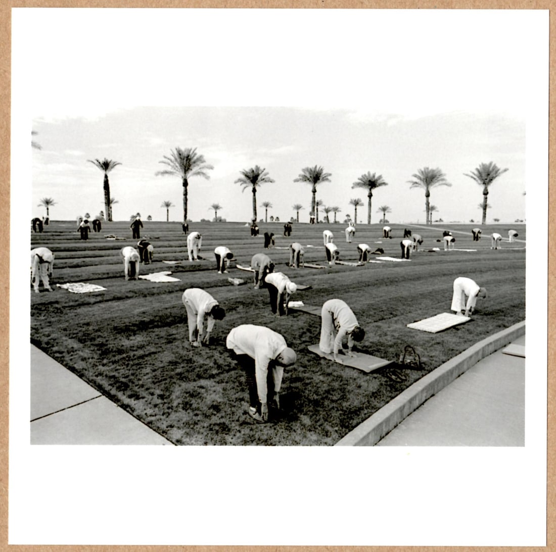 SIGNED - DAVID HURN - SUN CITY, ARIZONA, 1980 - 6"x 6" MAGNUM ARCHIVAL PRINT.: Description: 6"x 6" limited edition Fuji Crystal Archival Matte paper print. Image size is 5.5" on the longest side and the paper size is 6" x 6". The Print is SIGNED by David Hurn on the verso.Condit