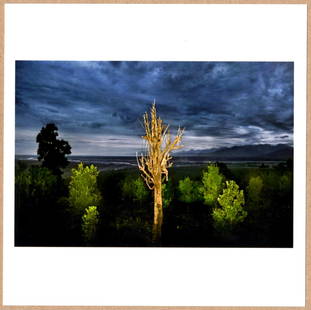 SIGNED - RAGHU RAI - TREE, INDIA 2013-2015 - 6" x 6" MAGNUM ARCHIVAL PRINT.: Description: 6"x 6" limited edition Fuji Crystal Archival Matte paper print. Image size is 5.5" on the longest side and the paper size is 6" x 6". The Print is SIGNED by Raghu Rai on the verso.Conditi