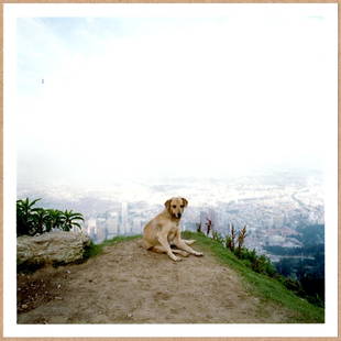 SIGNED - ALEC SOTH - DOG DAYS BOGOTA COVER IMAGE - COLOMBIA, 2003 - LTD 6" x 6" MAGNUM ARCHIVAL: Description: 6"x 6" limited edition Fuji Crystal Archival Matte paper print. Image size is 5.5" on the longest side and the paper size is 6" x 6". The Print is SIGNED by Peter Van Agtmael on the verso