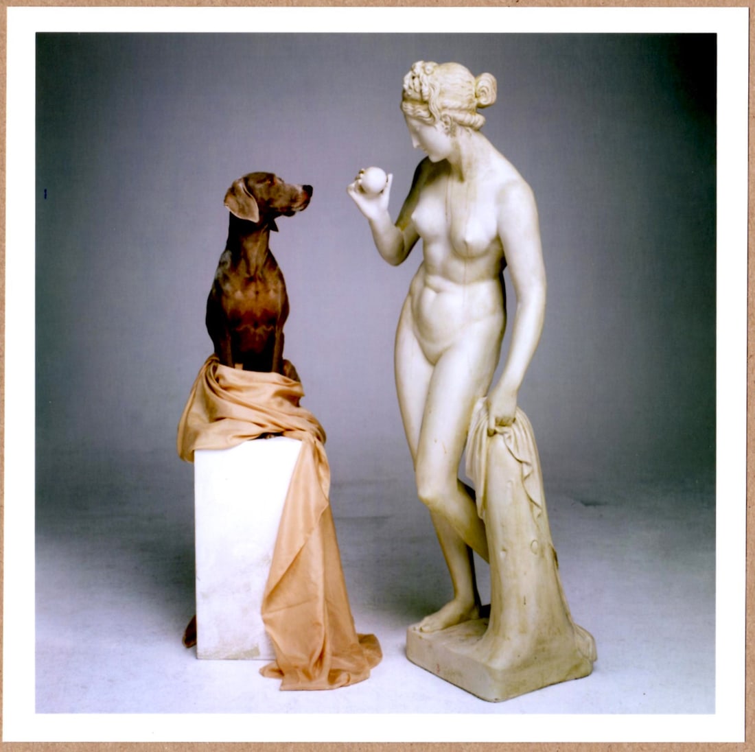 SIGNED WILLIAM WEGMAN - ON BASE IPHIGENIE TAURIDE 6" x 6" MAGNUM ARCHIVAL PRINT. (1 of 2)