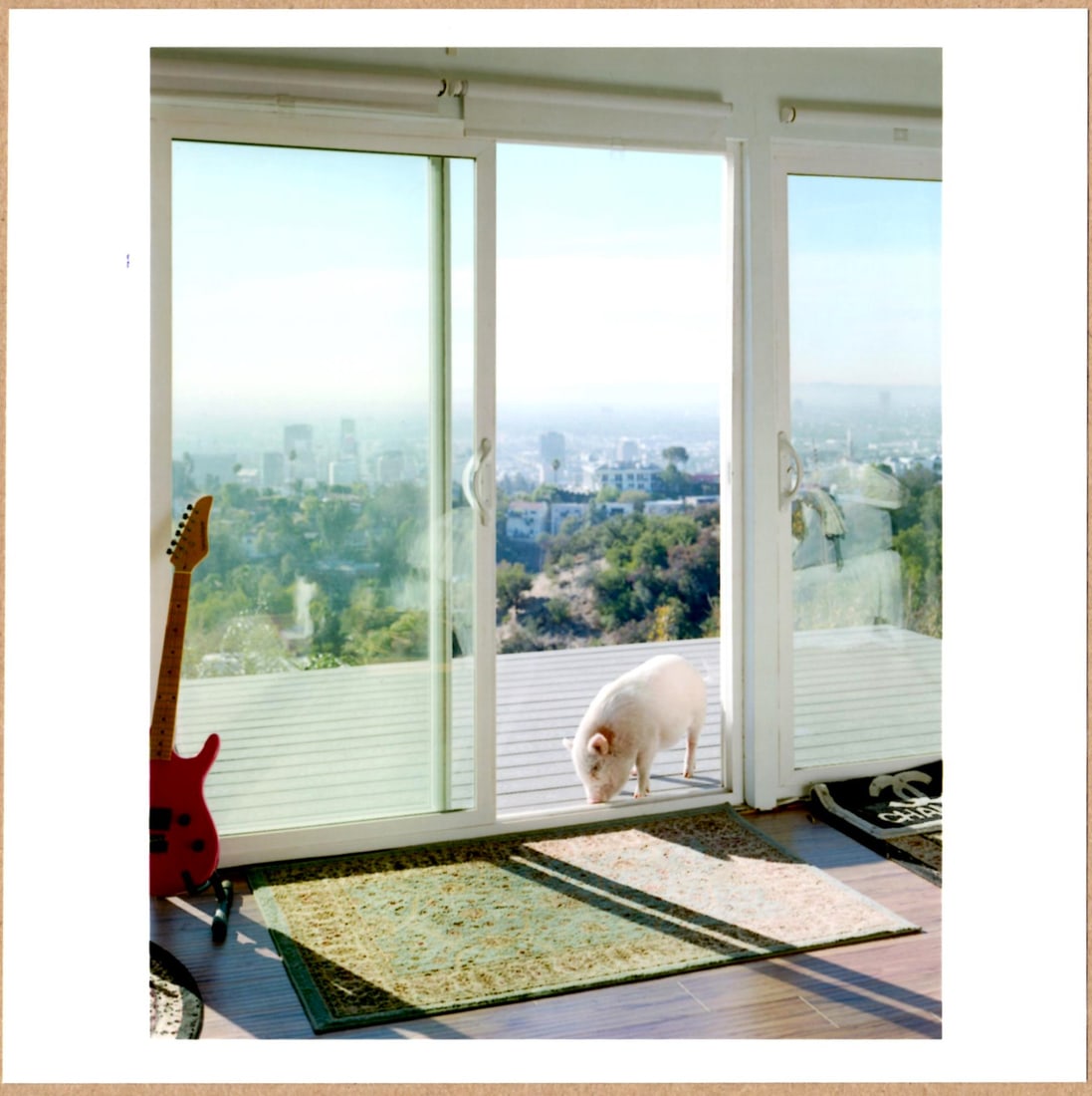 SIGNED - ALEC SOTH - BANKSY, HOLLYWOOD HILLS, CA. 2017 LTD 6" x 6" MAGNUM PRINT. (1 of 2)