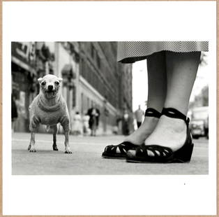 STAMP SIGNED - ELLIOTT ERWITT DOGS CHIHUAHUA NEW YORK CITY 6" x 6" MAGNUM PRINT.: Description: 6"x 6" limited edition Fuji Crystal Archival Matte paper print. Image size is 5.5" on the longest side and the paper size is 6" x 6". The Print is STAMP SIGNED by Elliott Erwitt on the ve