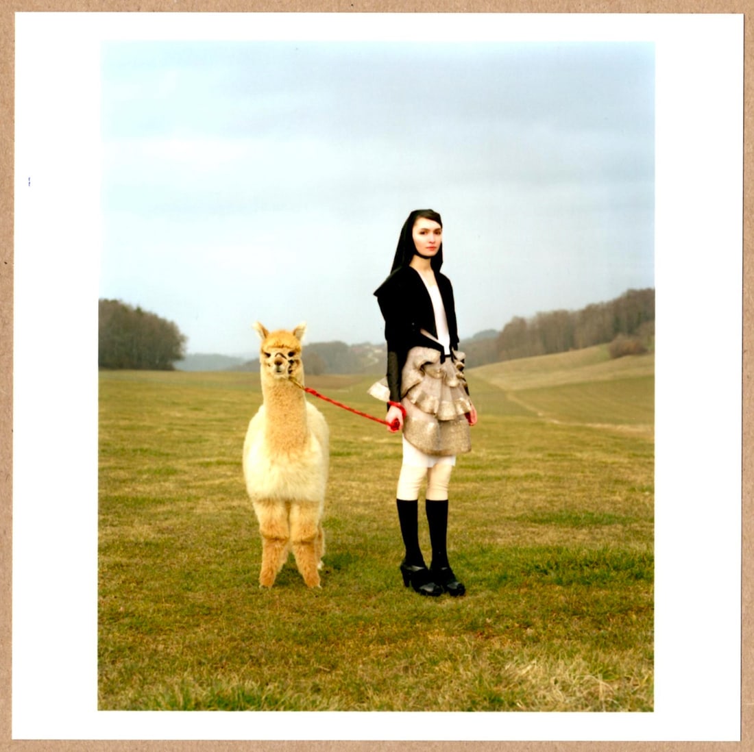 SIGNED - YANN GROSS - MODEL AND ALPACA 2011 LIMITED 6" x 6" APERTURE PRINT.: Description: 6"x 6" limited edition Fuji Crystal Archival Matte paper print. Image size is 5.5" on the longest side and the paper size is 6" x 6". The Print is SIGNED by Yann Gross on the verso.Condit