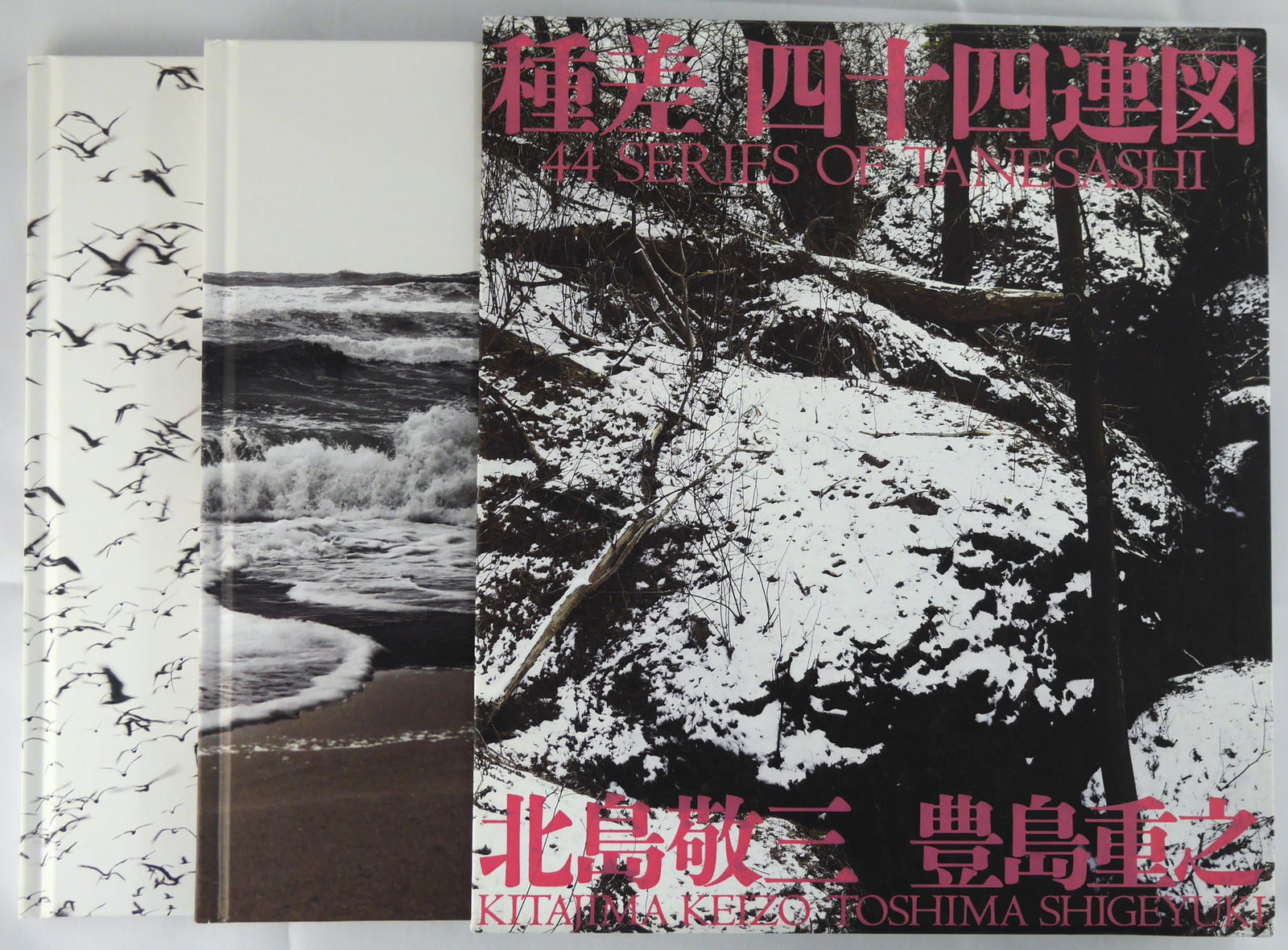 Kitajima, Keizo; The Centuries of Tanesashi (1 of 2)