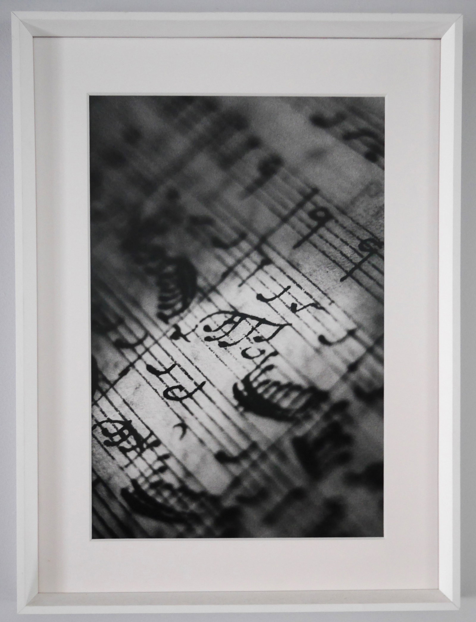 Gibson, Ralph; Bach Sonata 128, 1999 [SIGNED - Silver Gelatin Print 25.25 x 14.1" -FINE]: RALPH GIBSON Bach Sonata 128, 1999 , Gelatin Silver print, Edition of 40 numbered and 15 AP (of whihc this is AP 4), 21.25x14.1" signed by the artist on print verso (Photocopy of the edition and signa